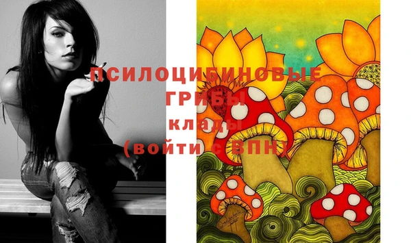 прущий лед Алексеевка