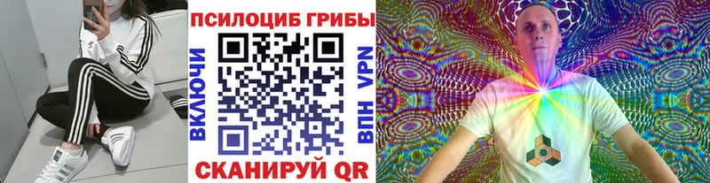 Галлюциногенные грибы мицелий кракен tor Петровск купить